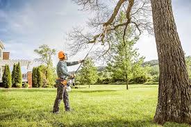 Elmsford, NY Tree Care Company